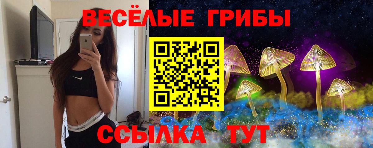 Псилоцибиновые грибы Magic Shrooms  Вход с VPN  Сердобск 